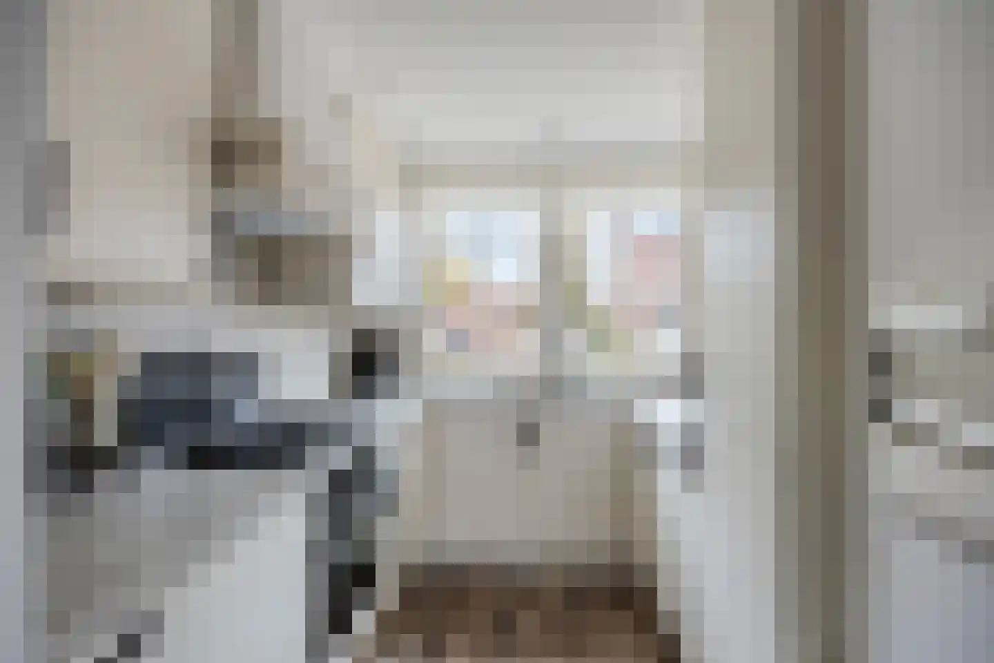 Monnikevenne 54 Monnickendam thumbnail 5