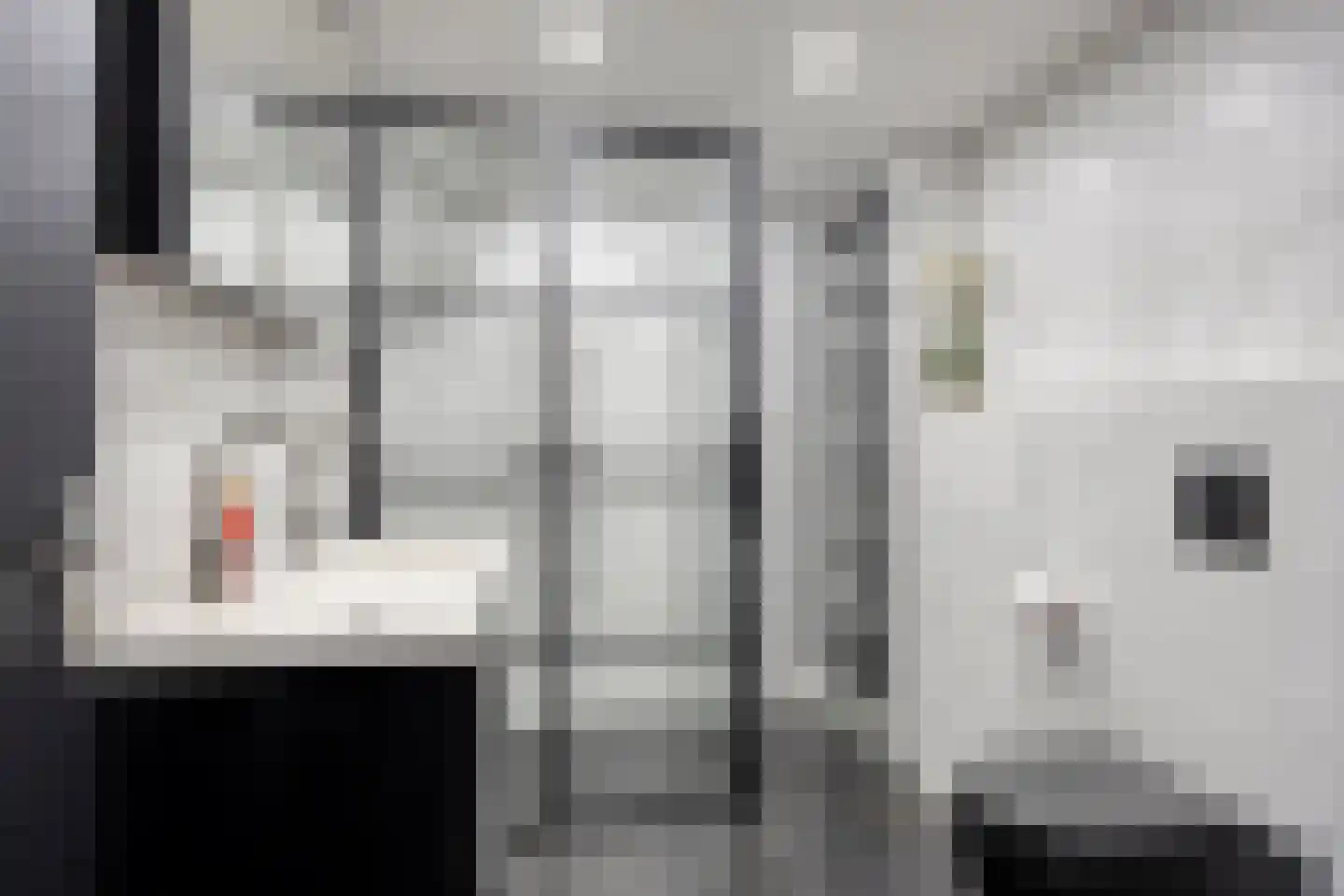 Monnikevenne 54 Monnickendam thumbnail 6