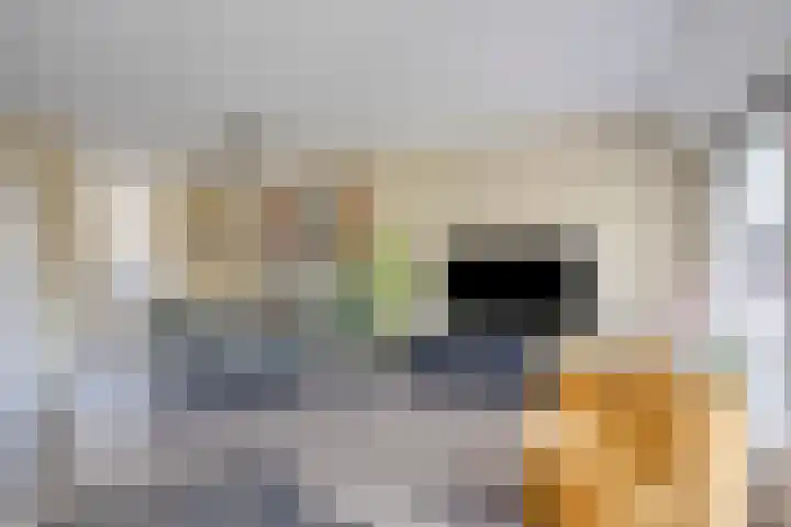 Monnikevenne 56 Monnickendam thumbnail 14