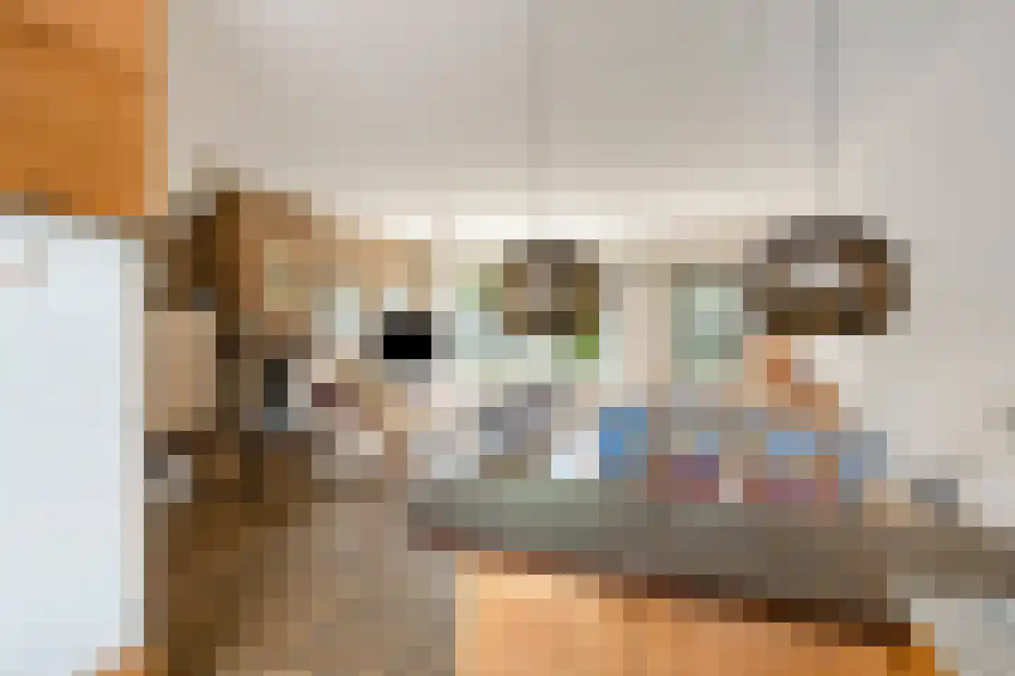 Monnikevenne 9 Monnickendam thumbnail 12