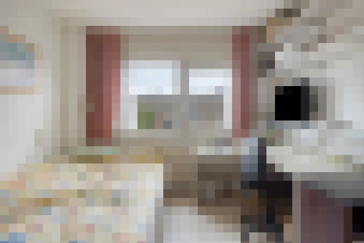 Monnikevenne 9 Monnickendam thumbnail 21