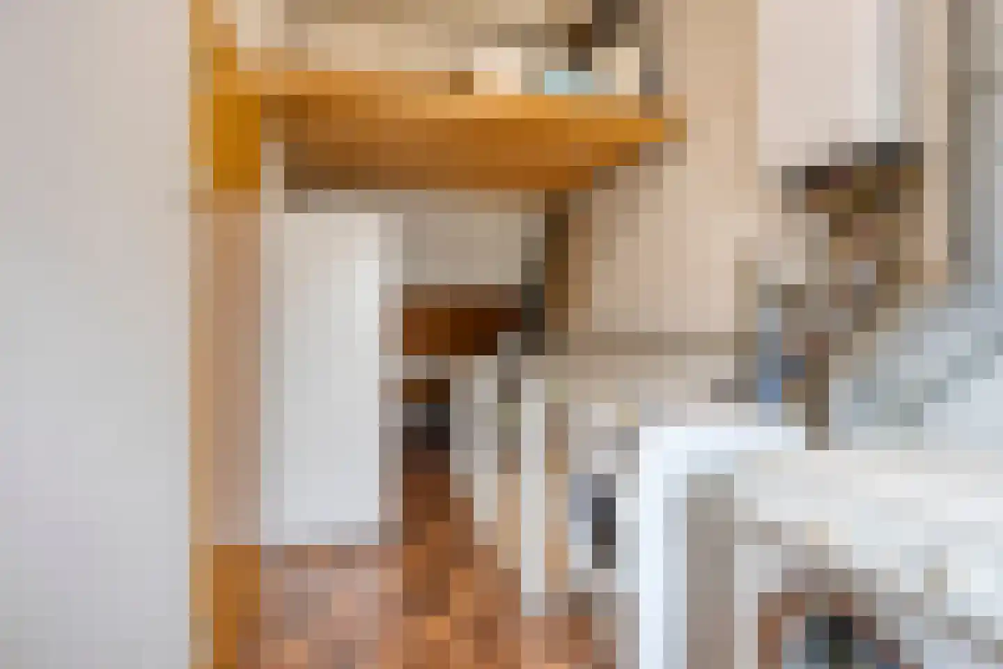 Monnikevenne 9 Monnickendam thumbnail 22