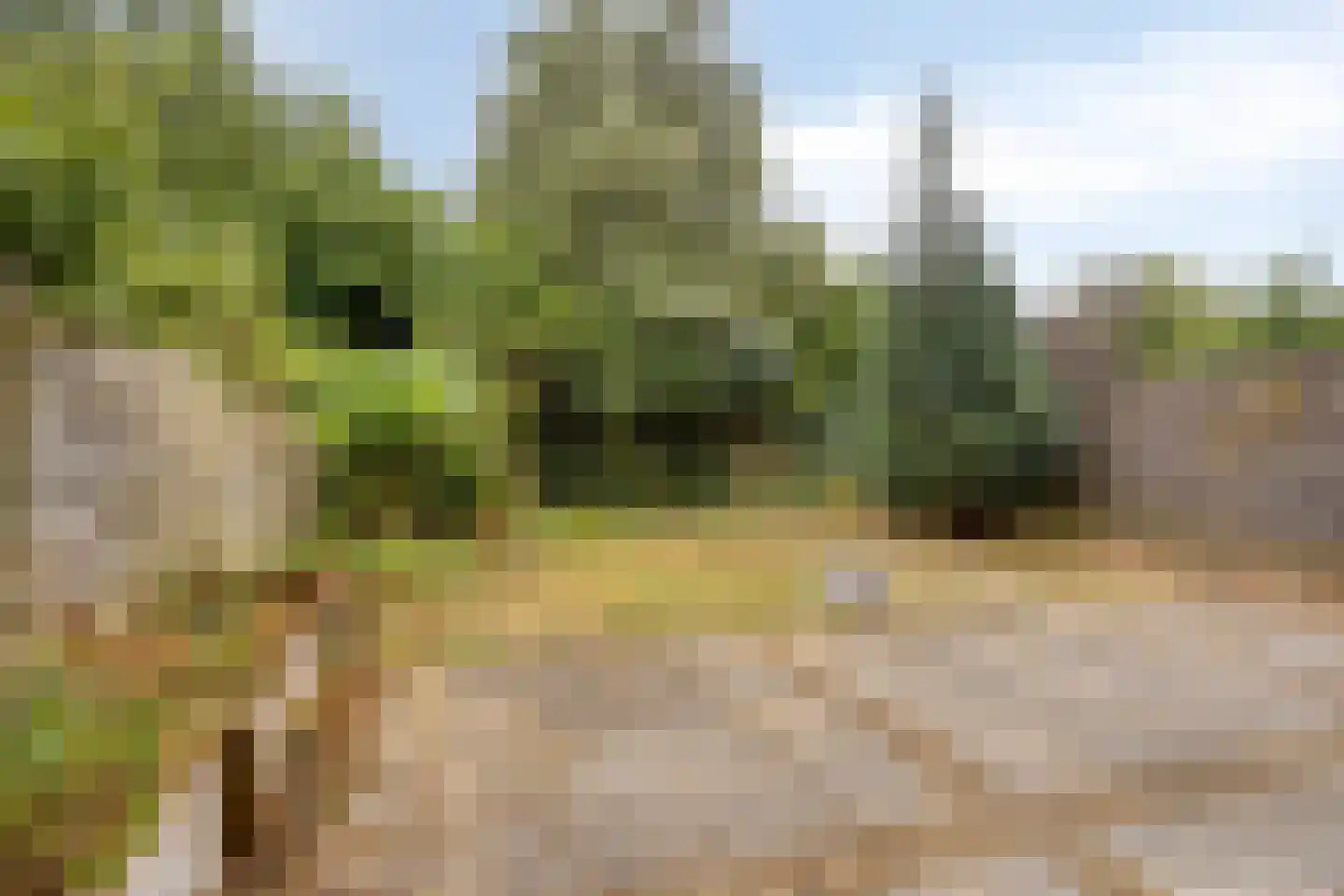 Monnikevenne 9 Monnickendam thumbnail 30