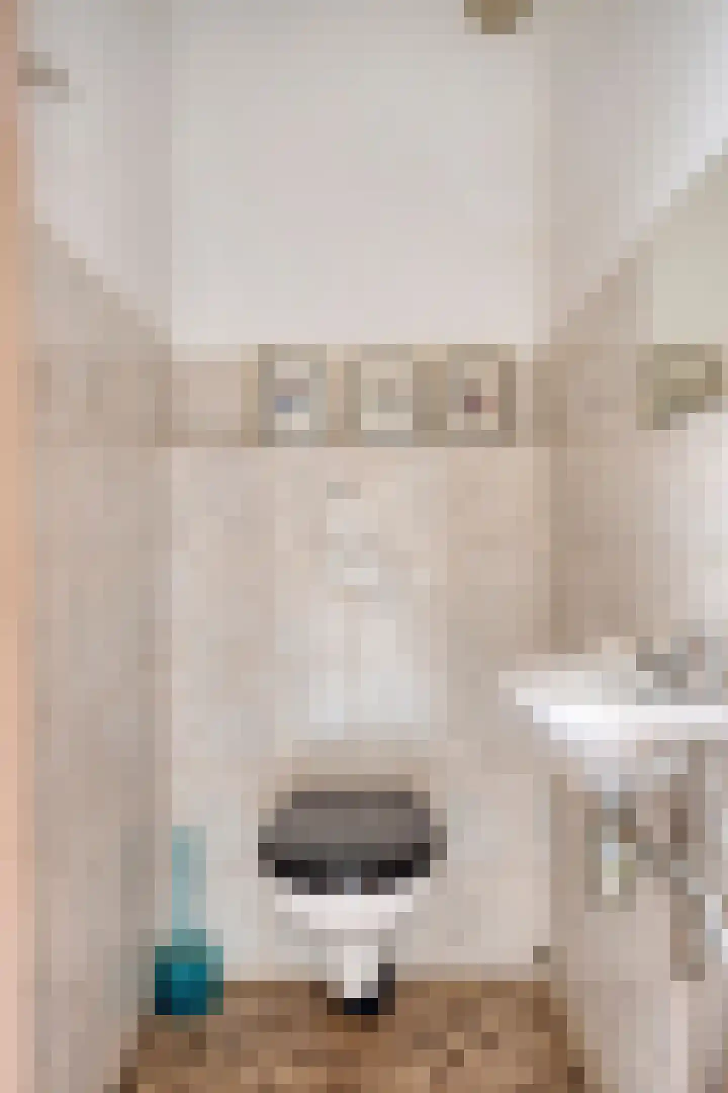 Monnikevenne 9 Monnickendam thumbnail 7