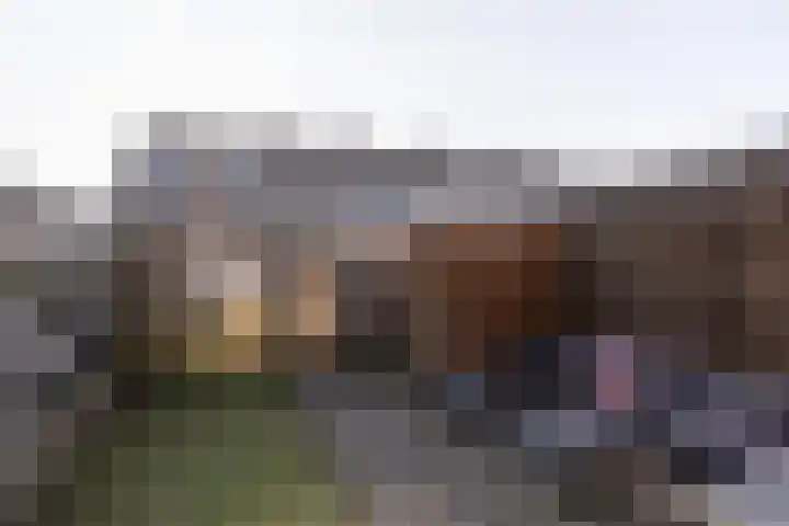 Monnikmolen 37 Sneek thumbnail 31