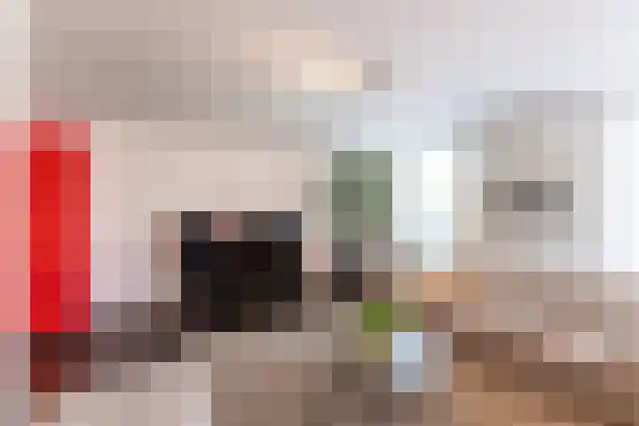 Monnikserf 19 Helmond thumbnail 23