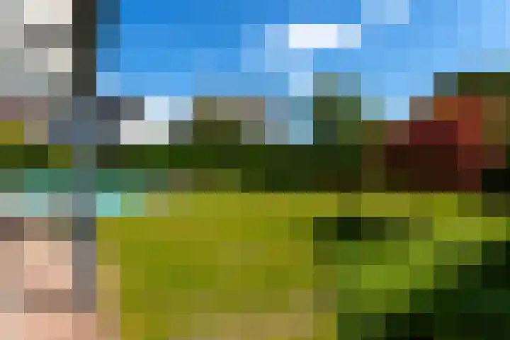 Monnikserf 19 Helmond thumbnail 44