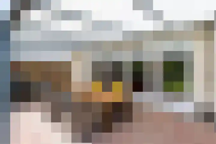 Monnikserf 19 Helmond thumbnail 45