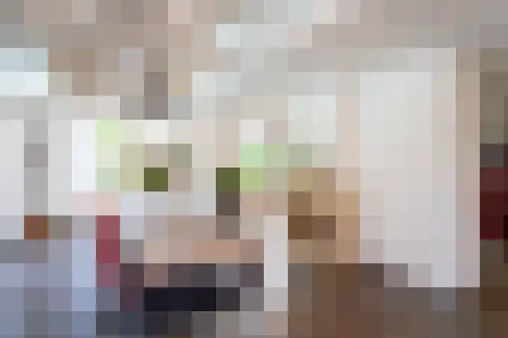 Monnikserf 19 Helmond thumbnail 6