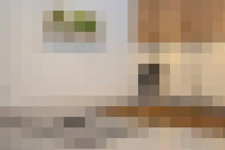 Monnikserf 2 Helmond thumbnail 16