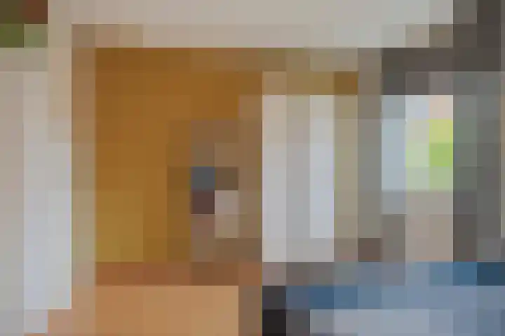Monnikserf 2 Helmond thumbnail 23