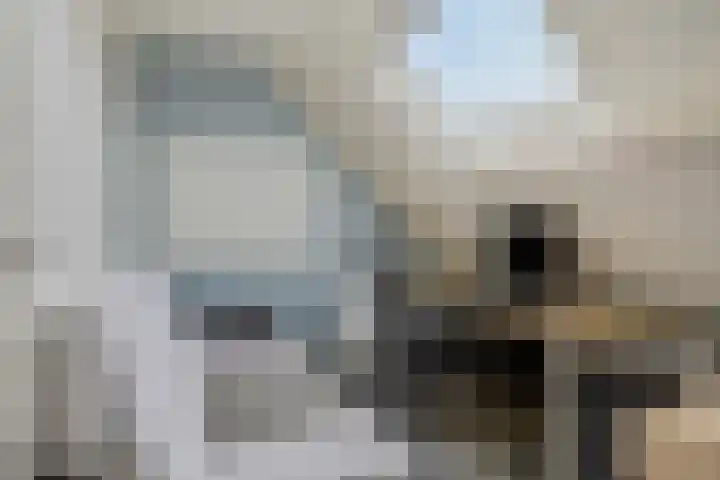 Monnikserf 2 Helmond thumbnail 30