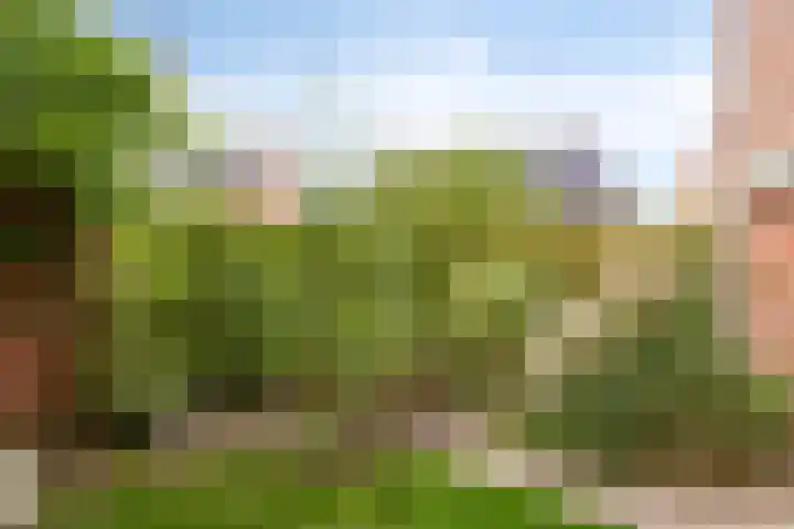 Monnikserf 2 Helmond thumbnail 35