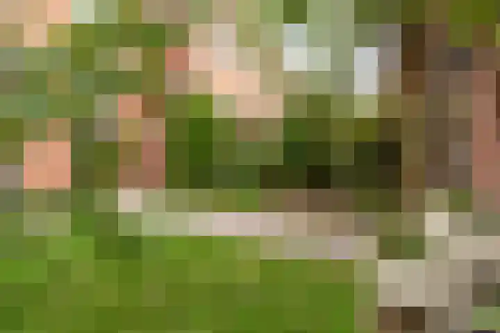 Monnikserf 2 Helmond thumbnail 36