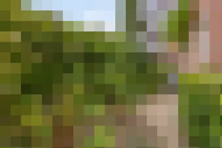 Monnikserf 2 Helmond thumbnail 37