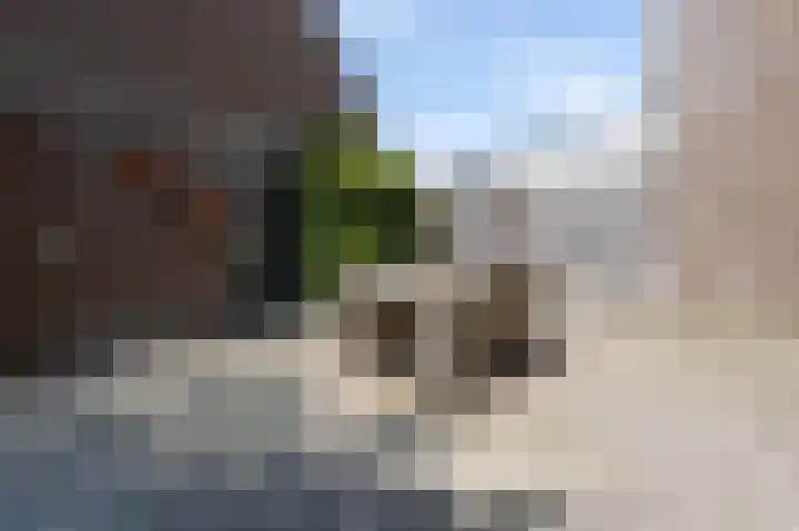 Monnikserf 24 Helmond thumbnail 16
