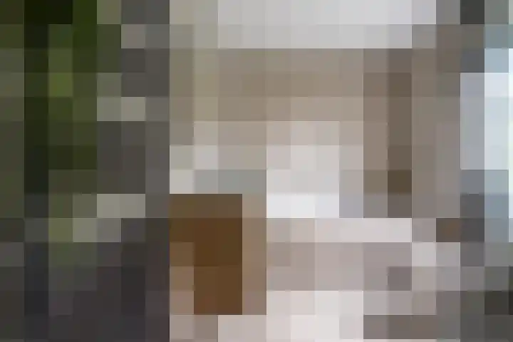 Monnikserf 24 Helmond thumbnail 24