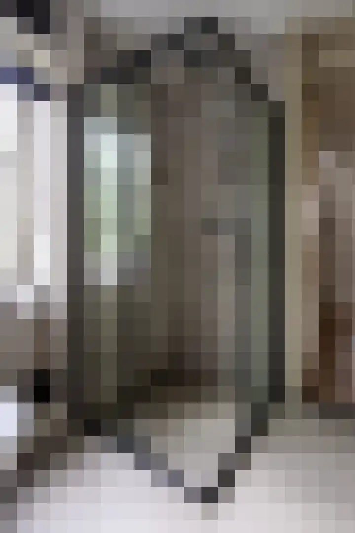 Monnikserf 24 Helmond thumbnail 26