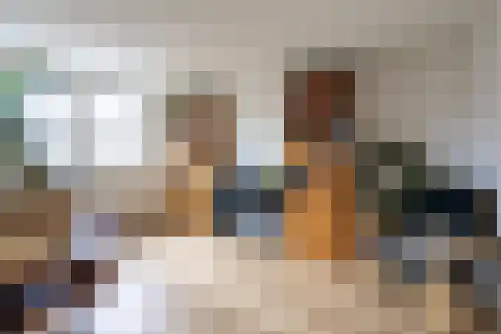 Monnikserf 24 Helmond thumbnail 28