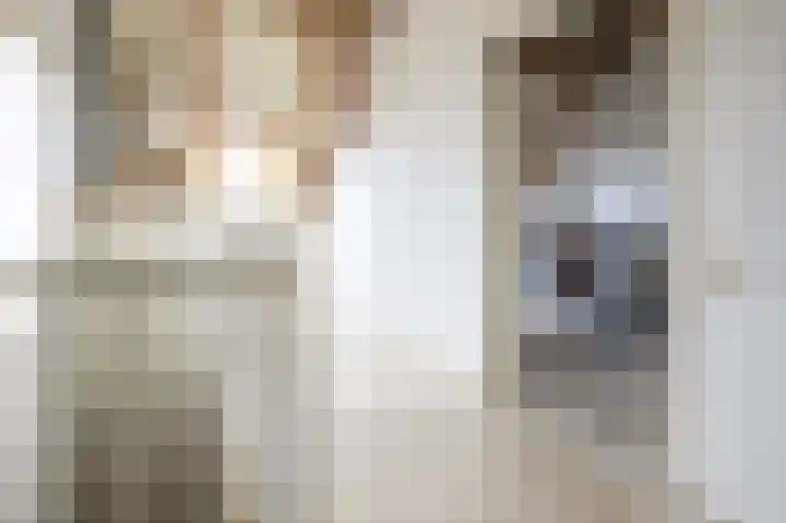 Monnikserf 24 Helmond thumbnail 33