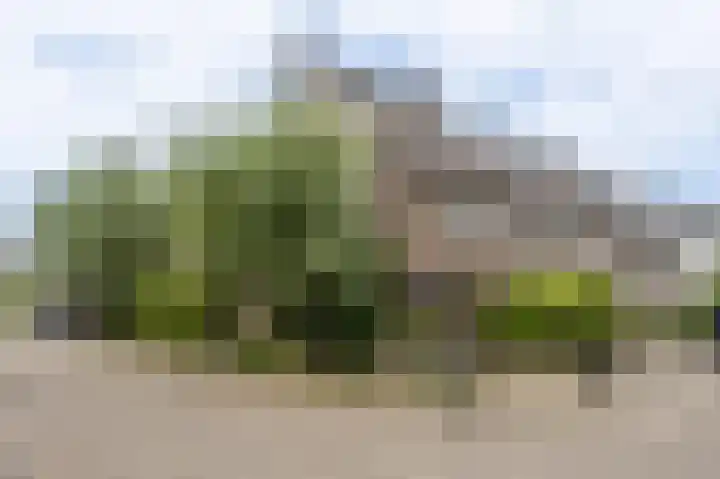 Monnikserf 24 Helmond thumbnail 39