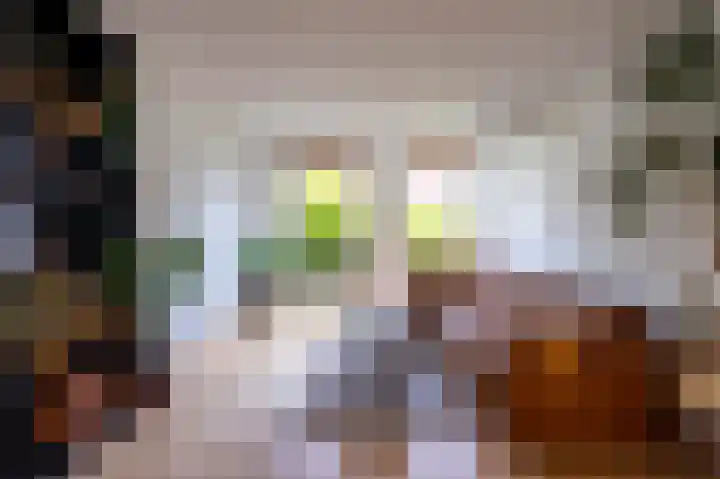 Monnikserf 24 Helmond thumbnail 8
