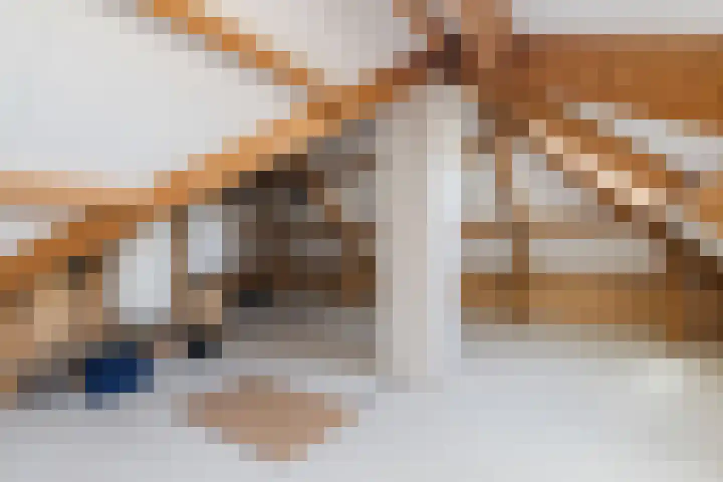 Monnikskap 3 Montfoort thumbnail 32