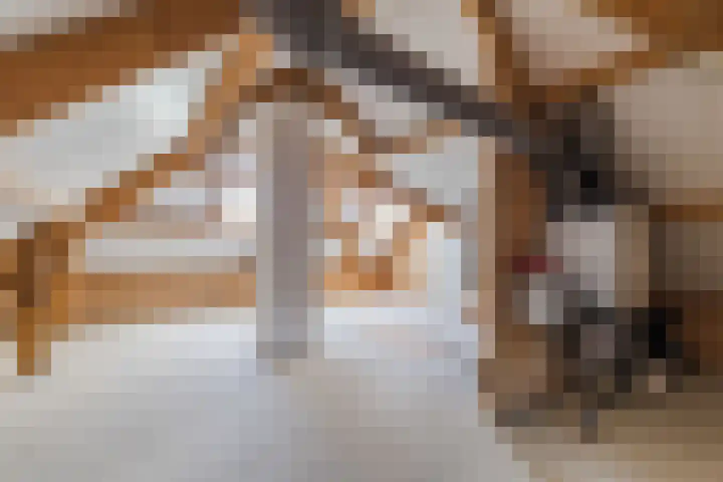 Monnikskap 3 Montfoort thumbnail 33