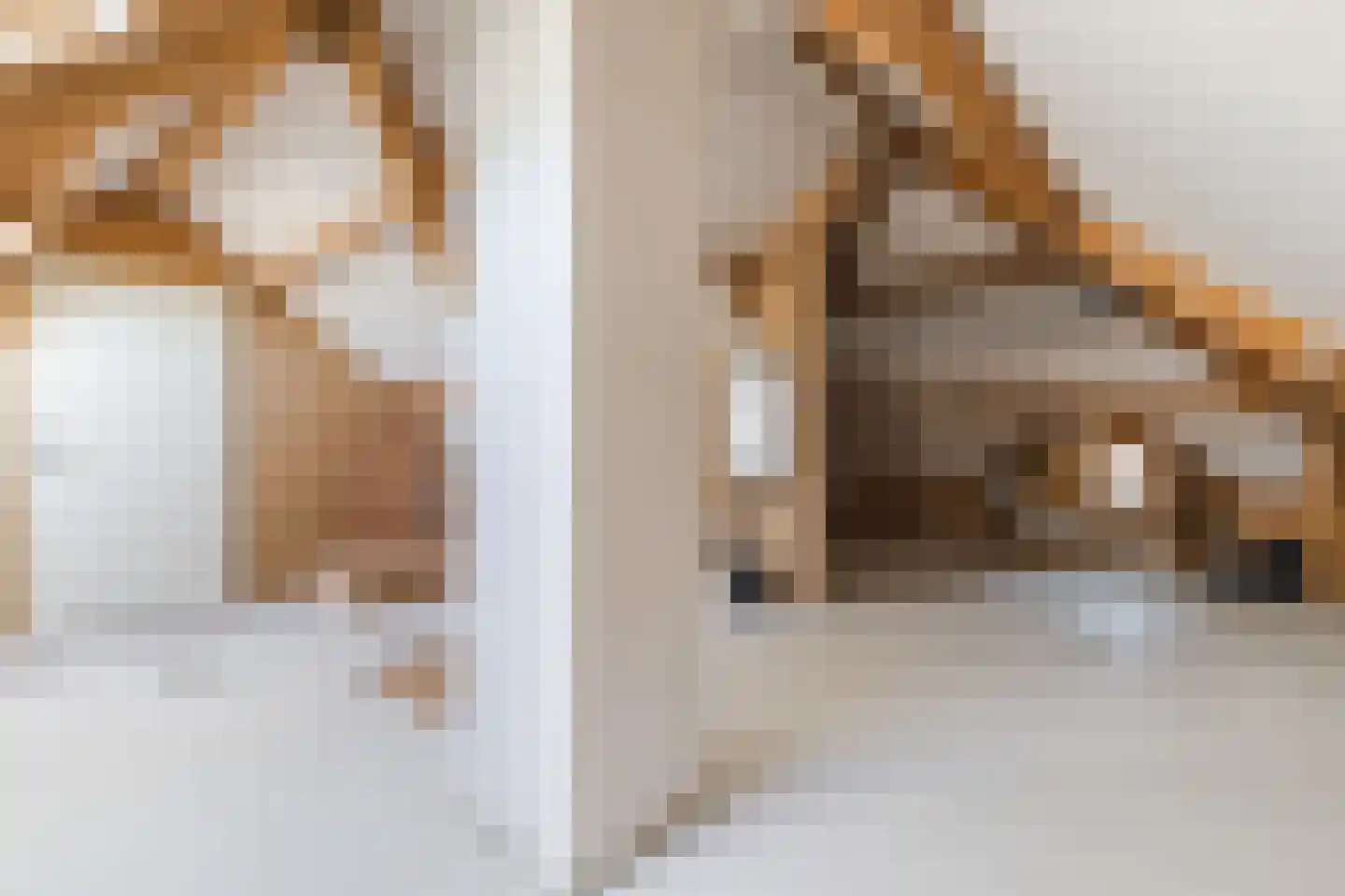 Monnikskap 3 Montfoort thumbnail 34