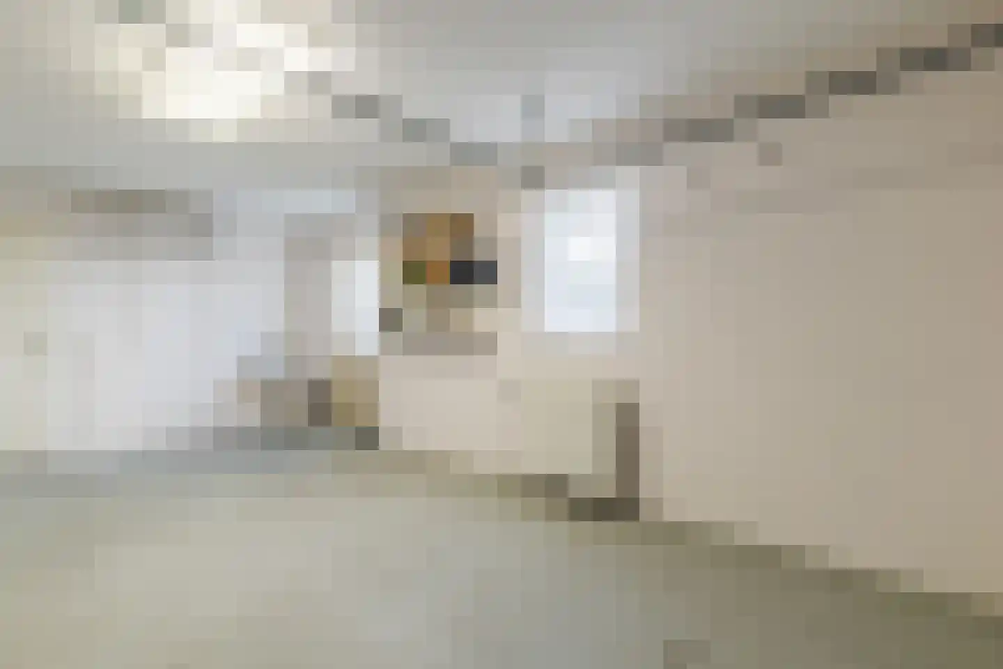 Monnikskap 3 Montfoort thumbnail 35