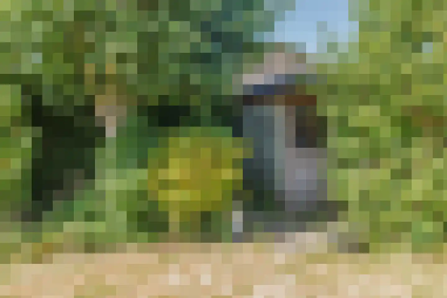 Monnikskap 3 Montfoort thumbnail 42