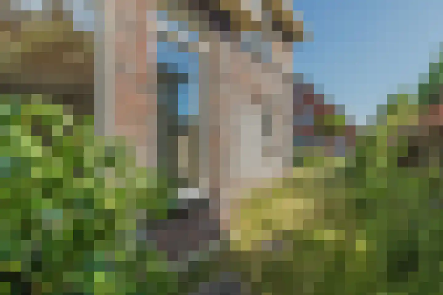 Monnikskap 3 Montfoort thumbnail 43