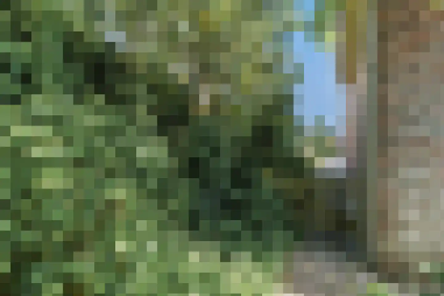 Monnikskap 3 Montfoort thumbnail 44