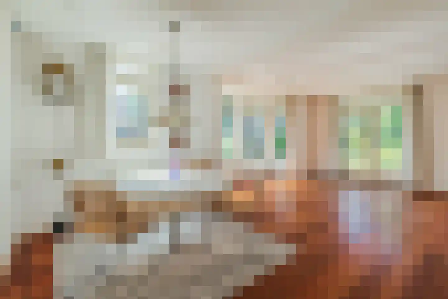Monnikskap 3 Montfoort thumbnail 9