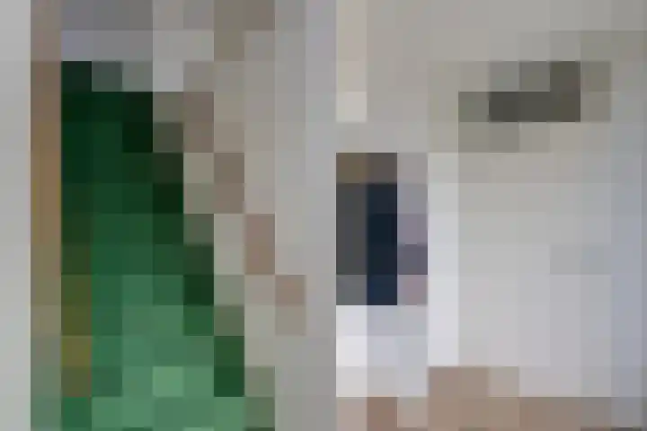 Monnikskap 9 Udenhout thumbnail 10