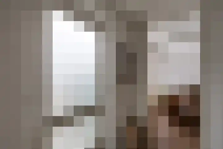 Monnikskap 9 Udenhout thumbnail 12