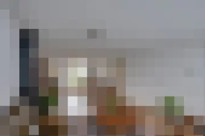 Monnikskap 9 Udenhout thumbnail 14