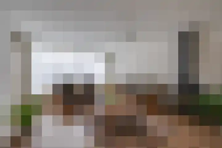 Monnikskap 9 Udenhout thumbnail 15