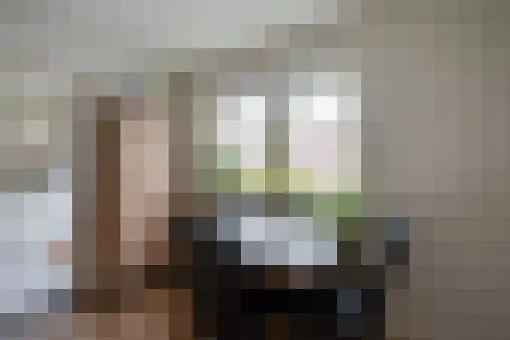 Monnikskap 9 Udenhout thumbnail 17