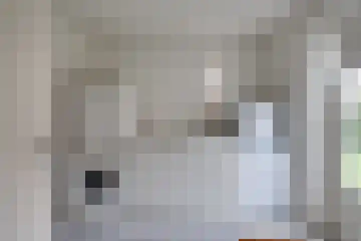 Monnikskap 9 Udenhout thumbnail 18