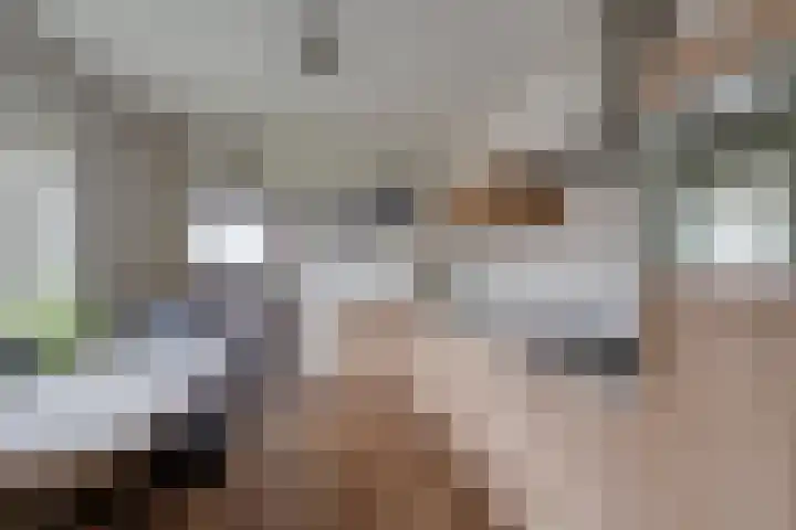Monnikskap 9 Udenhout thumbnail 19