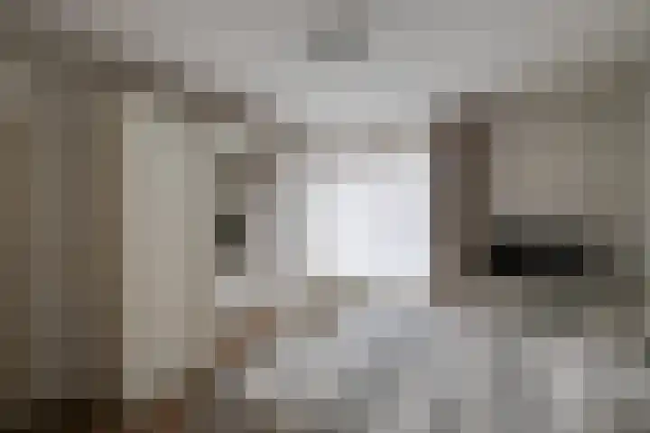 Monnikskap 9 Udenhout thumbnail 21