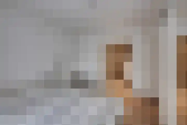 Monnikskap 9 Udenhout thumbnail 22