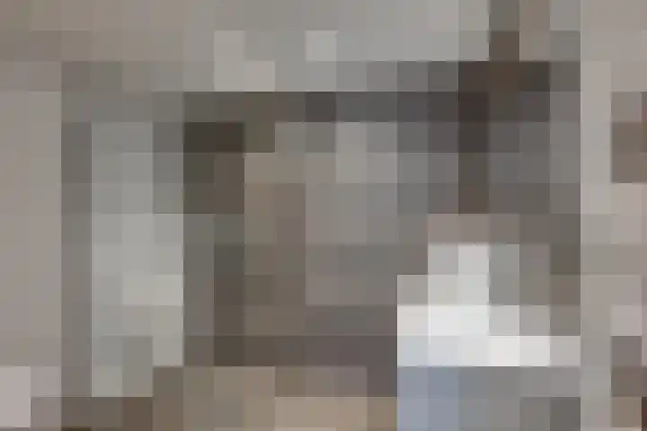 Monnikskap 9 Udenhout thumbnail 23