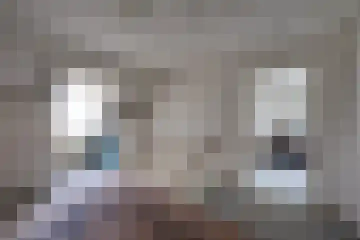 Monnikskap 9 Udenhout thumbnail 28