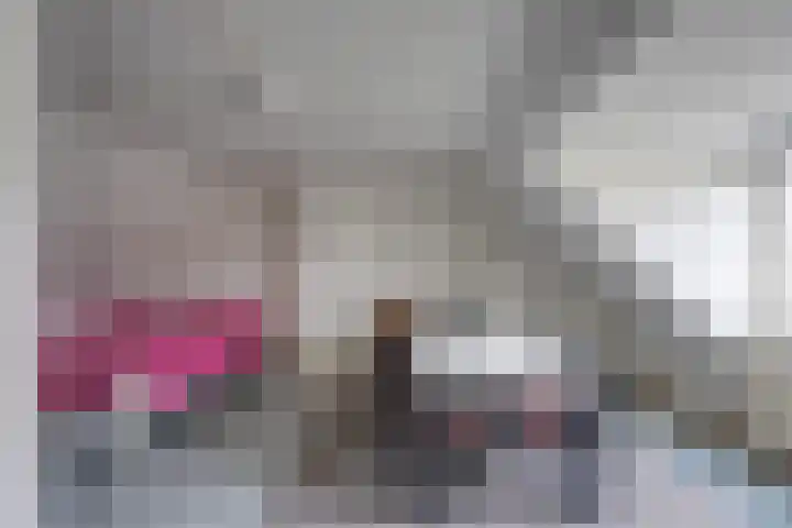 Monnikskap 9 Udenhout thumbnail 29