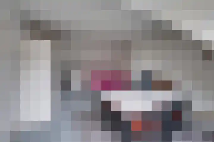 Monnikskap 9 Udenhout thumbnail 30