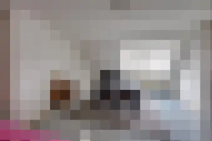Monnikskap 9 Udenhout thumbnail 31