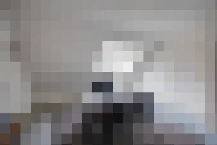 Monnikskap 9 Udenhout thumbnail 32