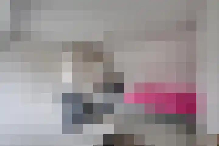 Monnikskap 9 Udenhout thumbnail 33